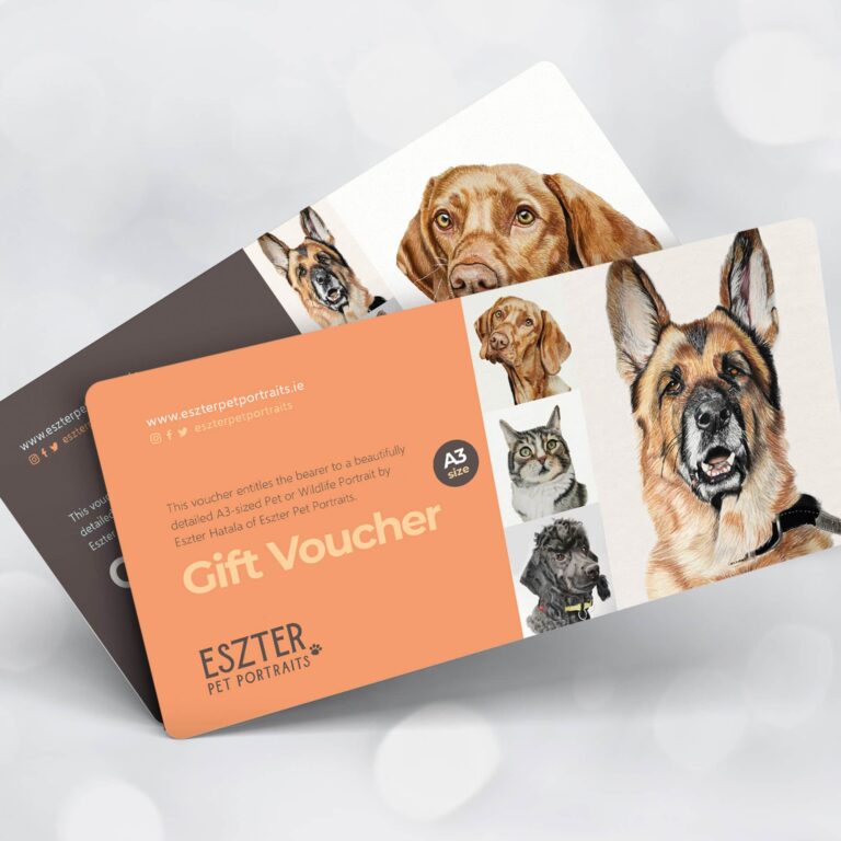 Pet Portrait Gift Vouchers for the Pet Lover in your life.