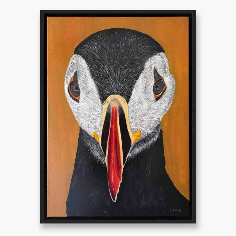 Puffin Original art by Irish artist Eszter Hatala