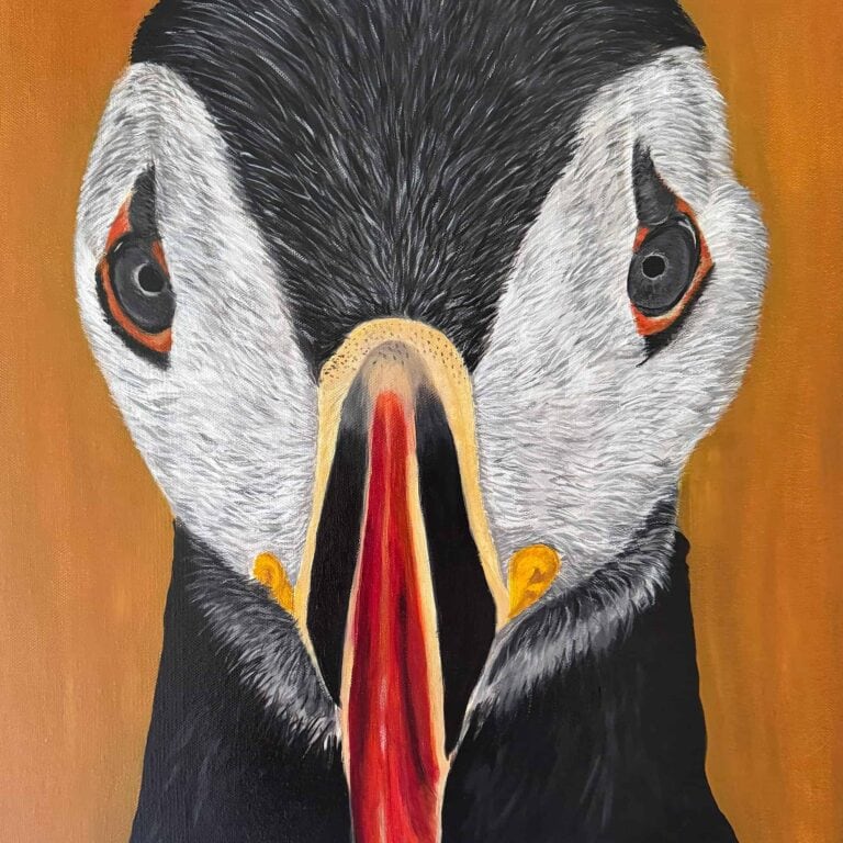 Puffin Original art by Irish artist Eszter Hatala