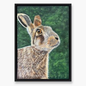 Hare Original art by Irish artist Eszter Hatala