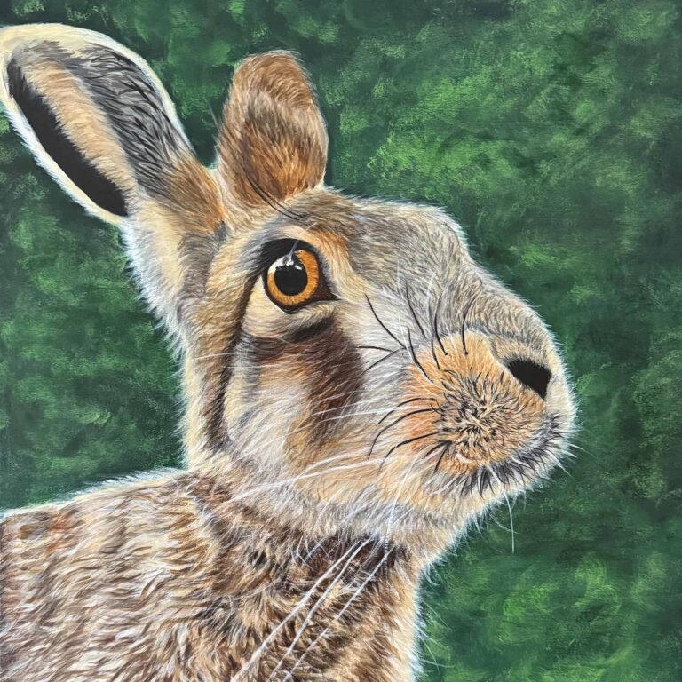 Hare Original art by Irish artist Eszter Hatala