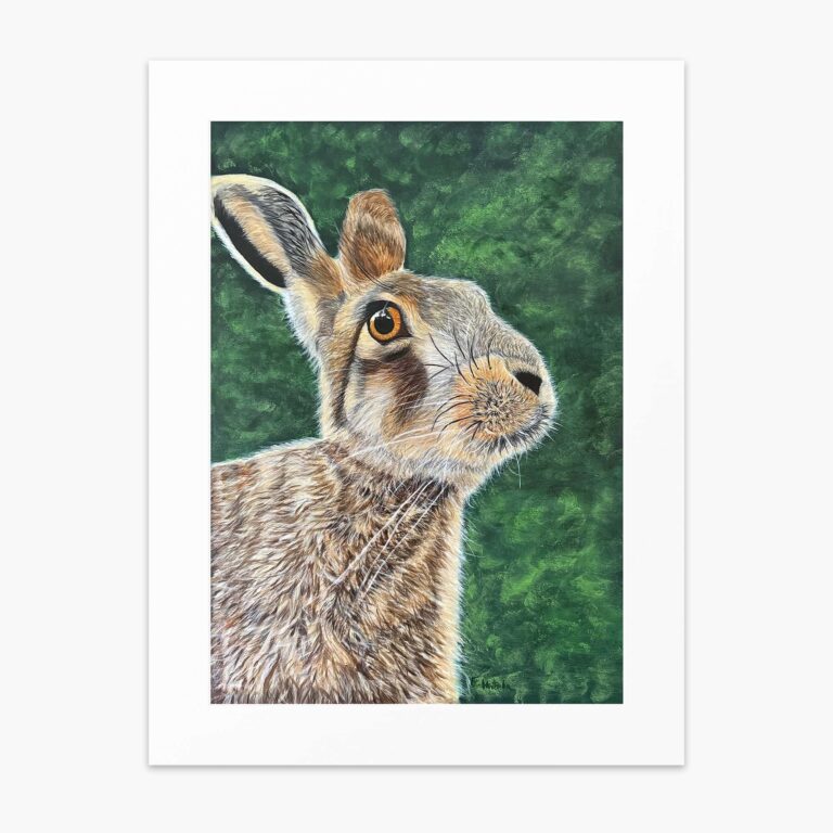 Hare fine art print by Irish artist Eszter Hatala