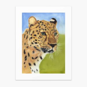 Cheetah fine art print by Irish artist Eszter Hatala