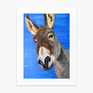 Donkey fine art print by Irish artist Eszter Hatala