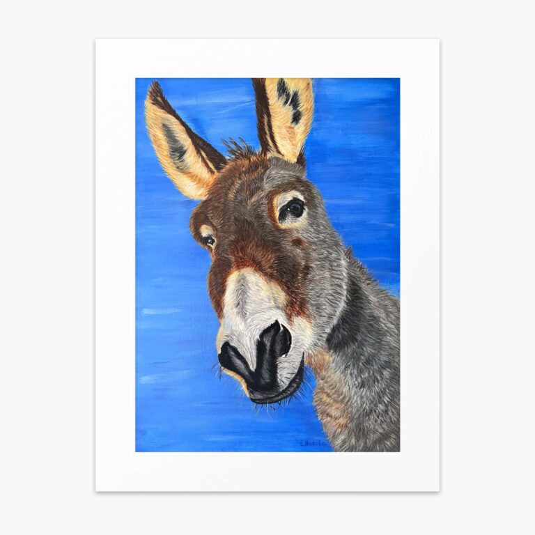 Donkey fine art print by Irish artist Eszter Hatala