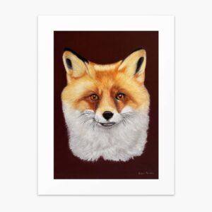 Fox fine art print by Irish artist Eszter Hatala