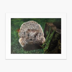 Hedgehog fine art print by Irish artist Eszter Hatala