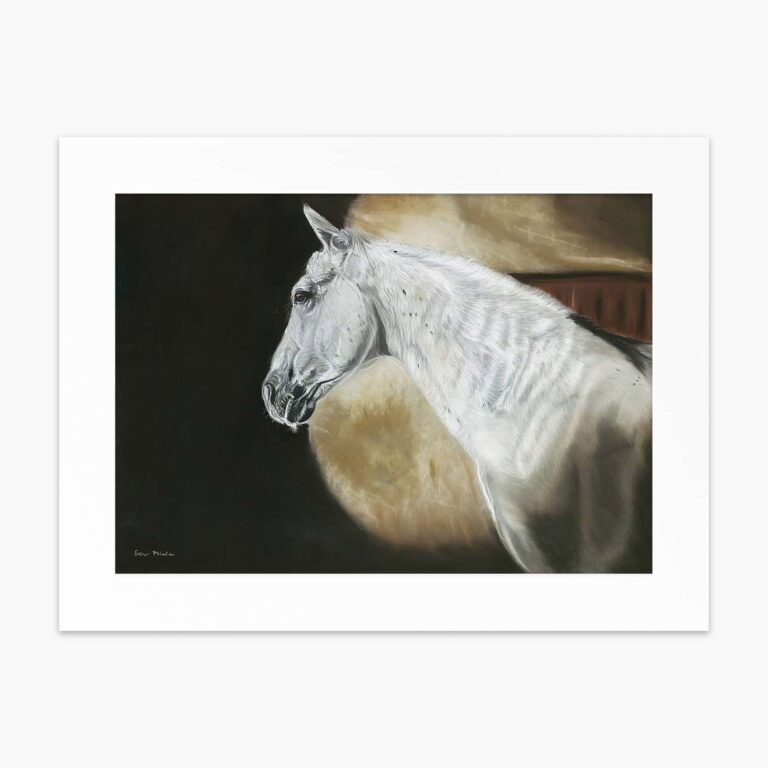 Horse fine art print 'Calmness' by Irish artist Eszter Hatala