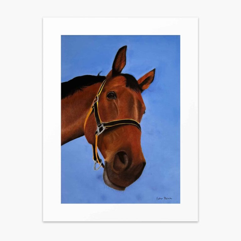 Horse fine art print by Irish artist Eszter Hatala