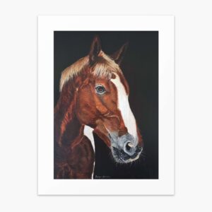 Horse fine art print by Irish artist Eszter Hatala