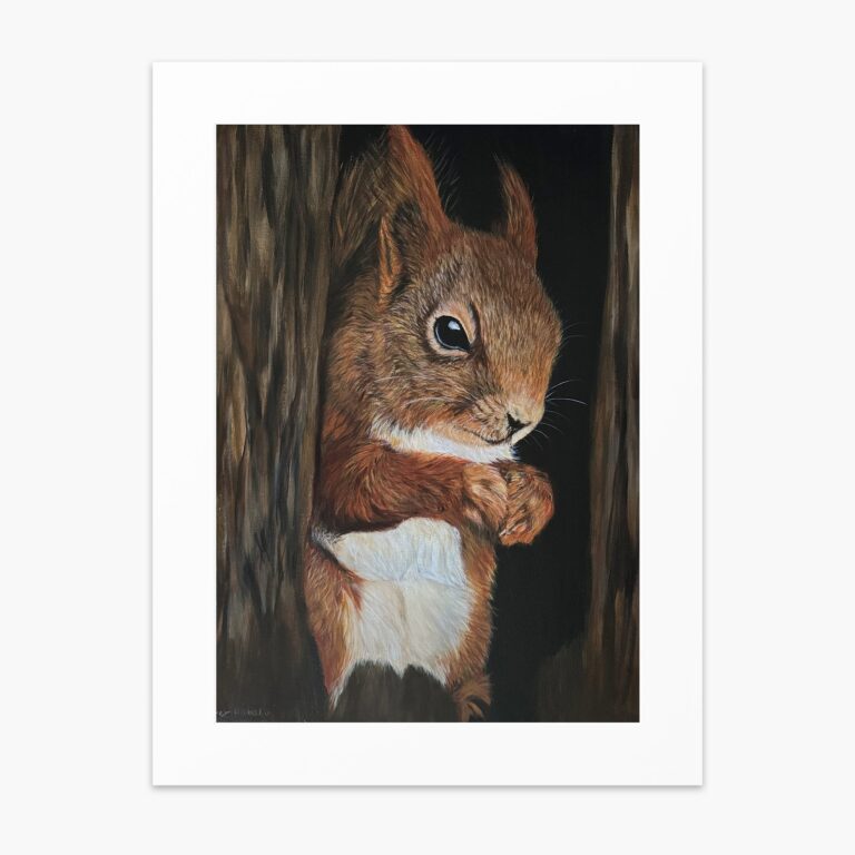 Squirrel fine art print by Irish artist Eszter Hatala