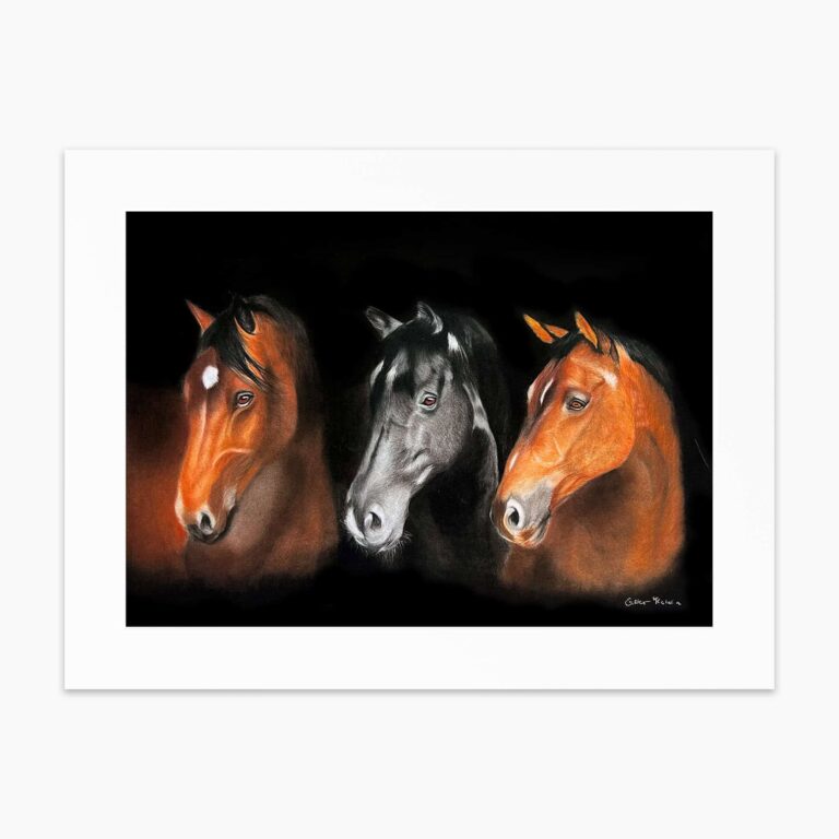 Three horses fine art print by Irish artist Eszter Hatala