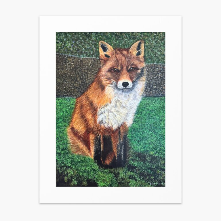 Fox fine art print by Irish artist Eszter Hatala