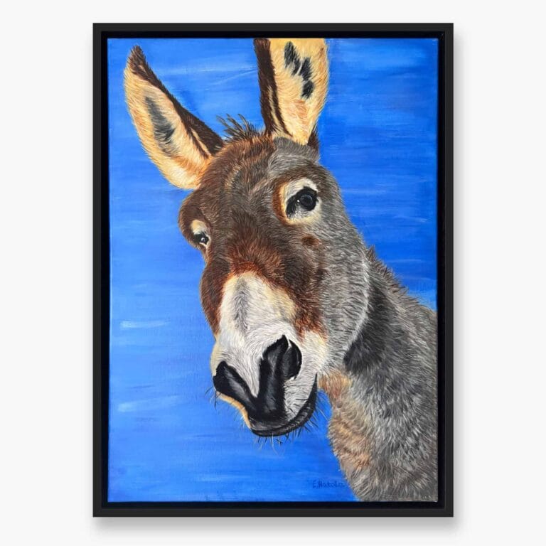 Donkey Original art by Irish artist Eszter Hatala