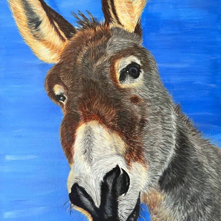Donkey Original art by Irish artist Eszter Hatala