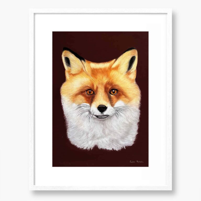 Fox Original art by Irish artist Eszter Hatala