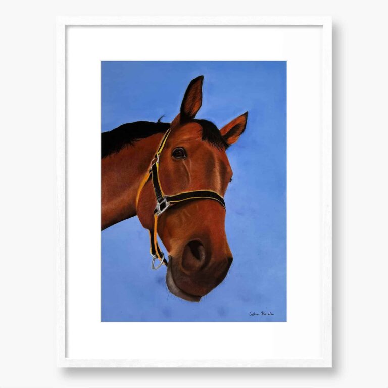 Horse Original art by Irish artist Eszter Hatala