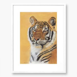 Tiger Original art 'I am handsome' by Irish artist Eszter Hatala