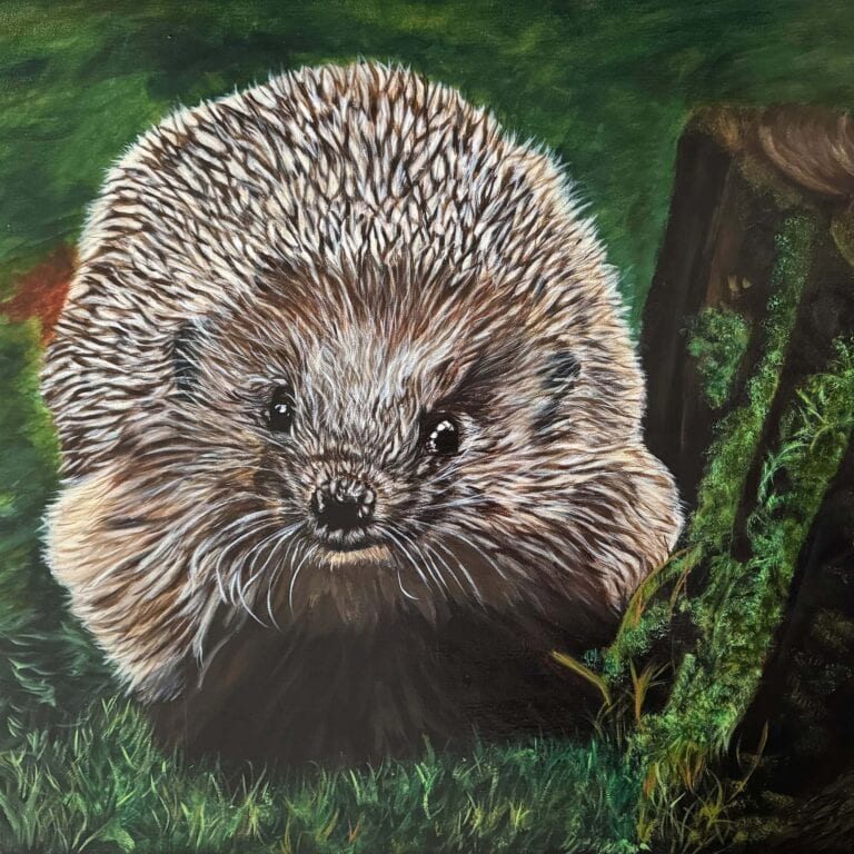 Hedgehog art by Irish artist Eszter Hatala