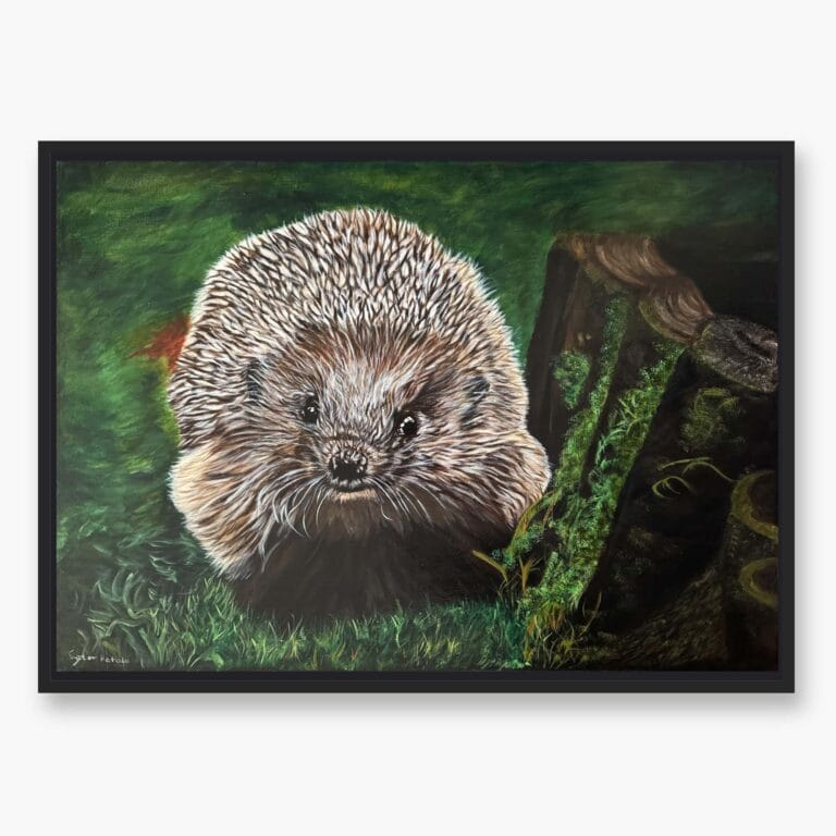 Hedgehog Original art by Irish artist Eszter Hatala