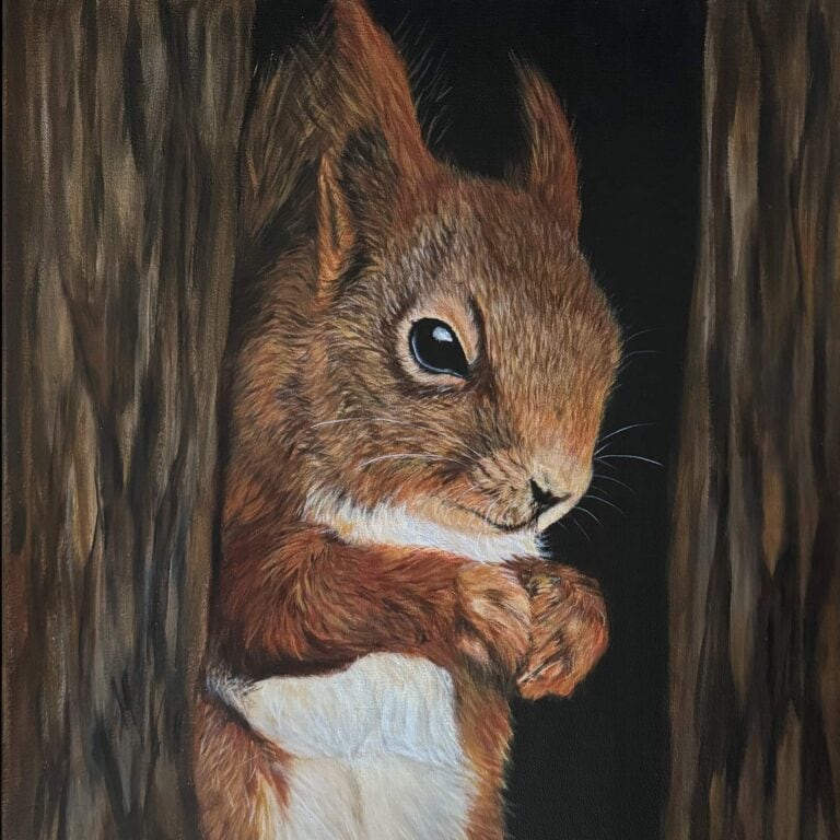 Squirrel art by Irish artist Eszter Hatala