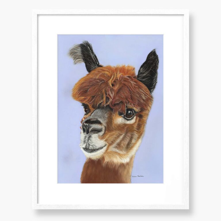 Alpaca Original art 'I am beautiful' by Irish artist Eszter Hatala