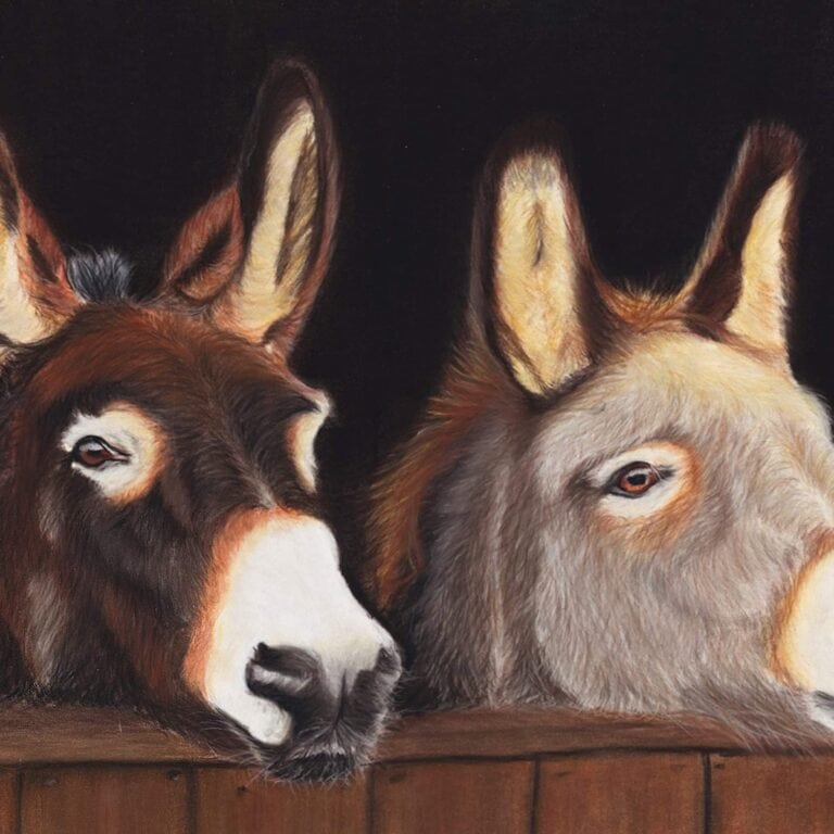 Original art print 'Donkeys' by Eszter Hatala