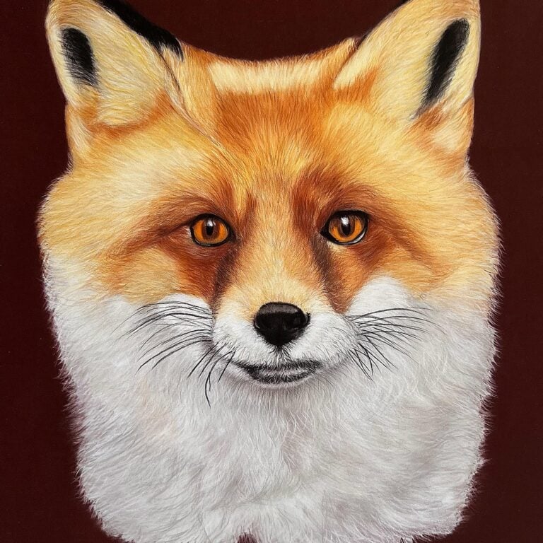 Original art print 'Fox' by Eszter Hatala