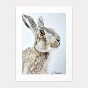 Original art print 'Irish Hare' by Eszter Hatala
