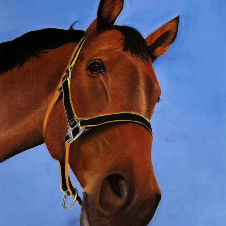 Original art print 'Horse' by Eszter Hatala