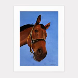 Original art print 'Horse' by Eszter Hatala