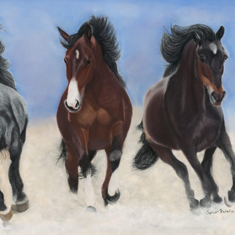 Original art print 'Wild Horses' by Eszter Hatala