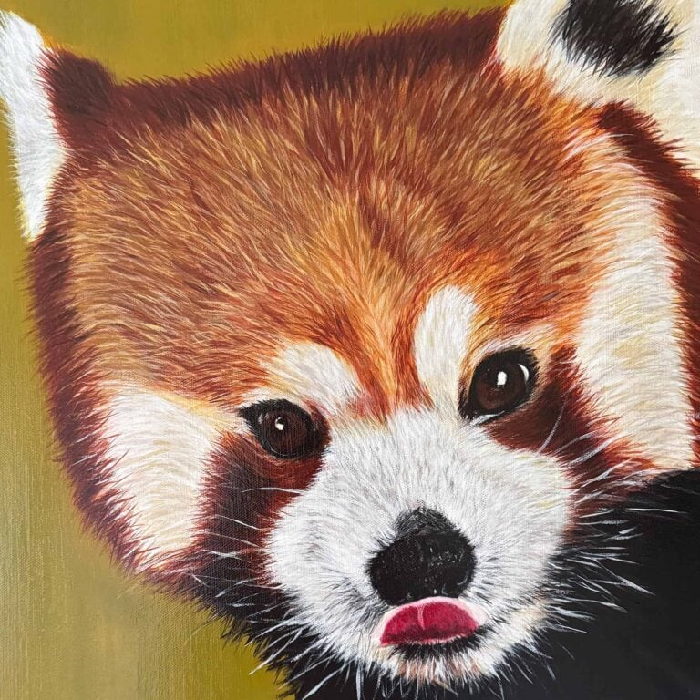 Red Panda Original art by Irish artist Eszter Hatala
